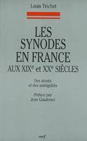 Les Synodes en France aux XIXe et XXe siècles, des atouts et des ambiguïtés