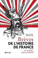 Brèves de l'histoire de France / et autres raccourcis