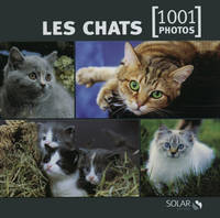 Les chats en 1001 photos - NE