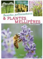 Insectes pollinisateurs & plantes mellifères