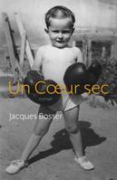 Un Coeur sec, roman