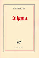 Enigma, roman