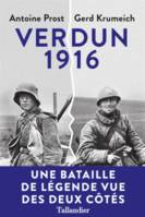 Verdun 1916, Une histoire franco-allemande de la bataille