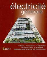 Eléctricité générale, les bases en électricité, la rénovation, les pièces d'eau, le dépannage, savoir se servir d'un multimètre, l'éclairage basse tension et très basse tension