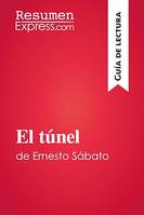 El túnel de Ernesto Sábato (Guía de lectura), Resumen y análisis completo