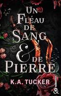 Un Fléau de Sang & de Pierre, Une romantasy fascinante, un amour interdit tout en tension