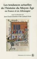 Les tendances actuelles de l’histoire du Moyen Âge en France et en Allemagne