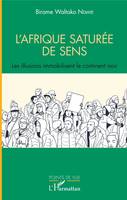 L'Afrique saturée de sens, Les illusions immobilisent le continent noir