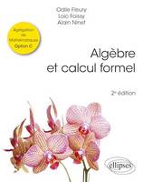 Algèbre et calcul formel, Agrégation de Mathématiques Option C