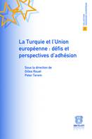 La Turquie et l'Union européenne : défis et perspectives d'adhésion, défis et perspectives d'adhésion