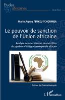 Le pouvoir de sanction de l'Union africaine, Analyse des mécanismes de coercition du système d'intégration régionale africain