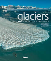 Glaciers, Forces et fragilités