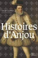 Histoires d'Anjou, Roman historique