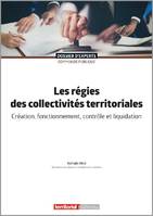 Les régies des collectivités territoriales, Création, fonctionnement, contrôle et liquidation