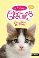 Le club des chaton - tome 10 L'Accident de Plume