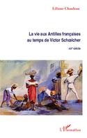 La vie aux Antilles françaises au temps de Victor Schoelcher, XIXE siècle