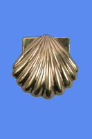 COQUILLE SAINT JACQUES BRONZE