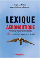 Lexique aéronautique, Les aéronefs, le pilote et l'environnement