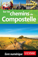 Sur les chemins de Compostelle