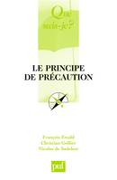 Le principe de précaution, « Que sais-je ? » n° 3596