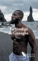 Le Prodige de Gnangba, Roman