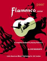 Flamenco Guitar