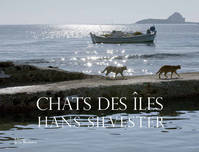 Chats des îles