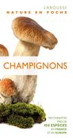 Champignons / reconnaître près de 450 espèces en France et en Europe