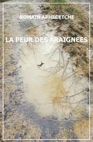 La Peur des Araignées