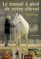 Le travail à pied de votre cheval, exercices et jeux pour développer un lien plus puissant avec votre cheval