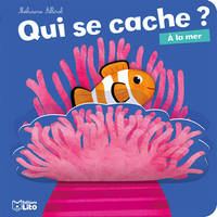 Qui se cache ?, À la mer