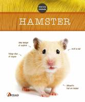 Hamster