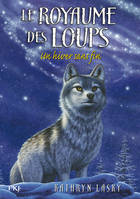 4, Le royaume des loups - tome 4 Un hiver sans fin, Un hiver sans fin