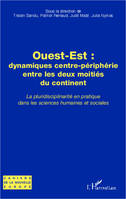 Ouest-Est : dynamiques centre-périphérie entre les deux moitiés du continent, La pluridisciplinarité en pratique dans les sciences humaines et sociales