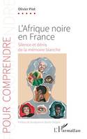 L’Afrique noire en France, Silence et dénis de la mémoire blanche