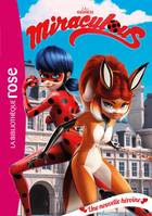 13, Miraculous / Une nouvelle héroïne