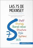 Las 7S de McKinsey, Las conexiones que hacen que todo funcione