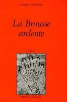 La Brousse ardente, histoire Fulani du Nord du Nigéria