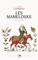 Les Mamelouks (XIIIe-XVIe siècle). Une expérience du pouvoir dans l'islam médiéval, Une expérience du pouvoir dans l'islam médiéval