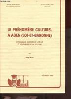 Le phénomène culturel à Agen, Lot et Garonne - dynamique culturelle locale et politiques de la culture, dynamique culturelle locale et politiques de la culture