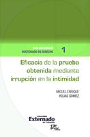 Eficacia de la prueba obtenida mediante irrupción en la intimidad