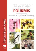 Fourmis de France, Plus de 100 espèces décrites