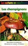 Les champignons