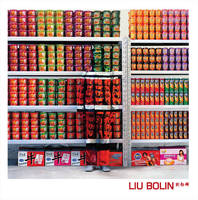 Liu Bolin, [exposition, Paris, Galerie Paris-Beijing, 24 février 2011-12 avril 2011]