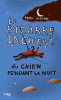 Le bizarre incident du chien pendant la nuit, roman