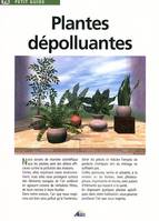 PETIT GUIDE : PLANTES DEPOLLUANTES