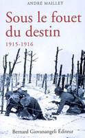 Sous le fouet du destin 1915-1916, histoire d'une âme aux jours héroïques, 1915-1916