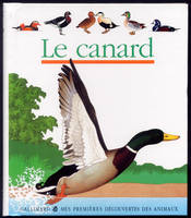 LE CANARD