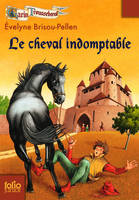 Garin Troussebœuf, VIII : Le cheval indomptable, Le cheval indomptable