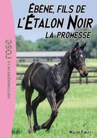 21, L'Étalon Noir 21 - Ébène, le fils de l'Étalon Noir